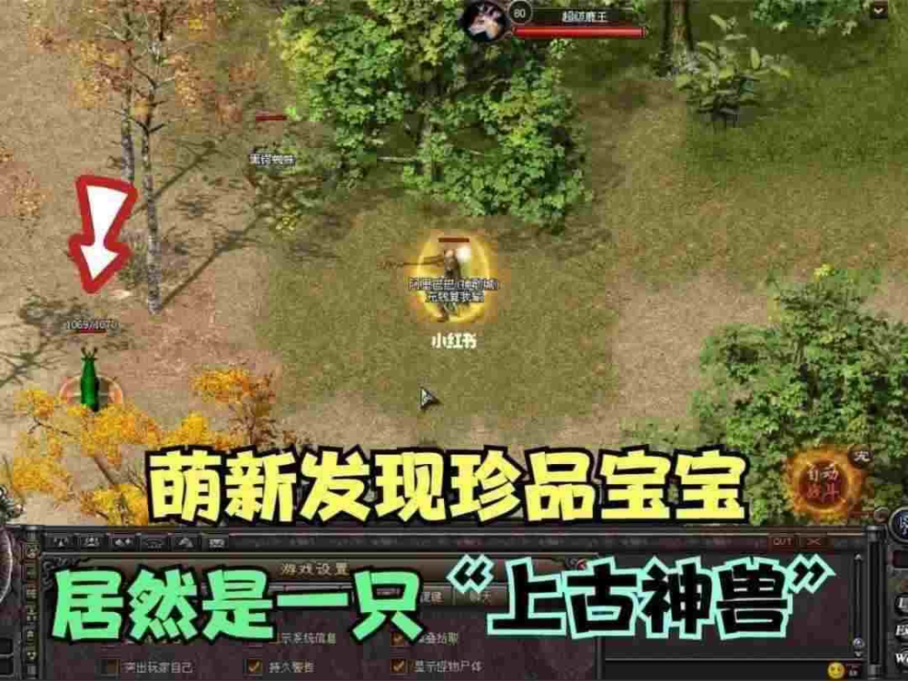 传奇单机能卖钱吗手游端,传奇单机能卖钱吗手游端？深入分析！